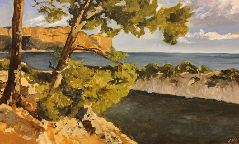 Vue des calanques